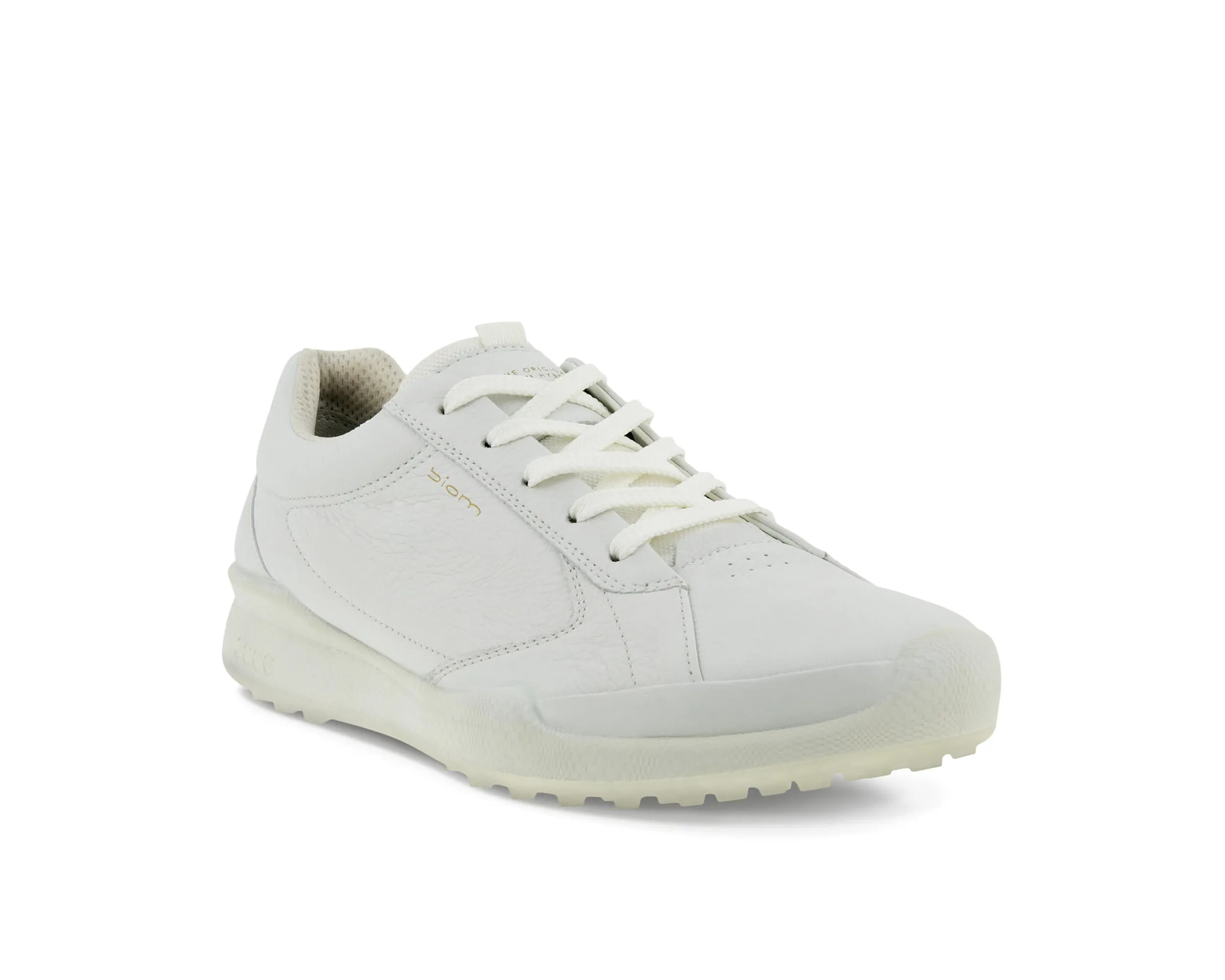 Men`s Golf Biom Hybrid Shoe